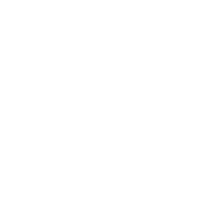 The Teddy Collective